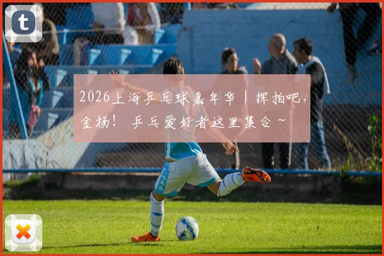 2026上海乒乓球嘉年华｜挥拍吧，金杨！ 乒乓爱好者这里集合～