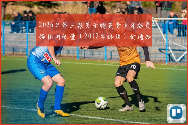 2026年第三期男子精英青少年球员强化训练营（2012年龄段）的通知