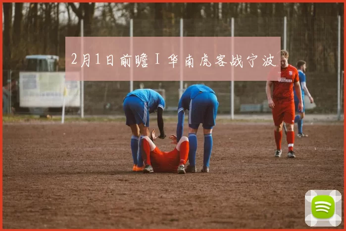 2月1日前瞻 I 华南虎客战宁波