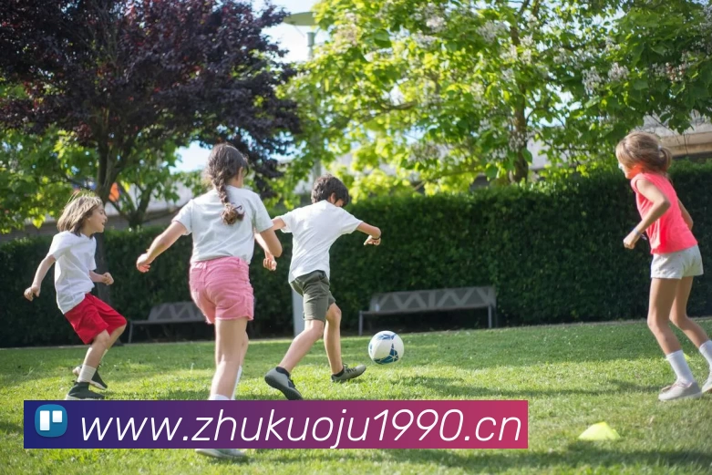 开云web站登录页面入口 - 开云(中国)服务体系